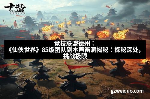竞技联盟德州：《仙侠世界》85级团队副本芦笛洞揭秘：探秘深处，挑战极限